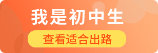 初中生适合学什么